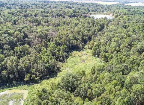 173 Cascilla Rd, Cascilla, MS 38920 photo 17