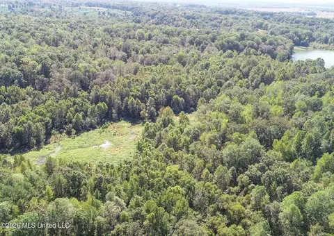 173 Cascilla Rd, Cascilla, MS 38920 photo 16