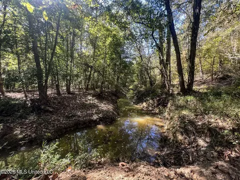 173 Cascilla Rd, Cascilla, MS 38920 photo 64