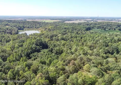 173 Cascilla Rd, Cascilla, MS 38920 photo 15