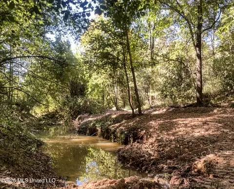 173 Cascilla Rd, Cascilla, MS 38920 photo 65