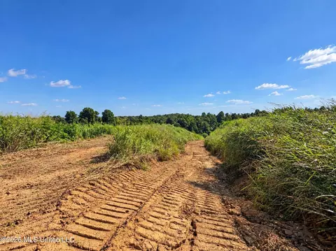 173 Cascilla Rd, Cascilla, MS 38920 photo 51