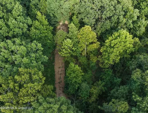 173 Cascilla Rd, Cascilla, MS 38920 photo 9