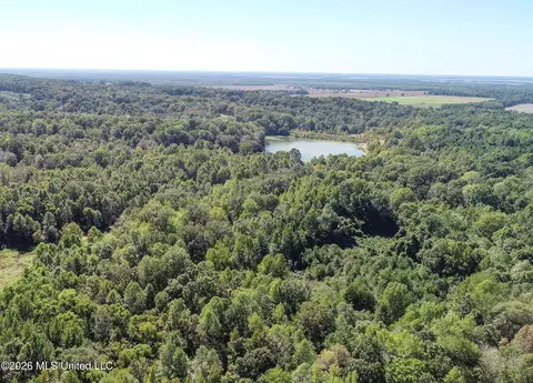 173 Cascilla Rd, Cascilla, MS 38920 photo 14