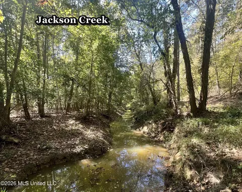 173 Cascilla Rd, Cascilla, MS 38920 photo 62