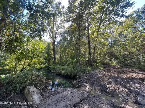 173 Cascilla Rd, Cascilla, MS 38920 photo 57