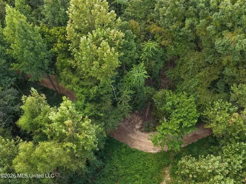 173 Cascilla Rd, Cascilla, MS 38920 photo 44