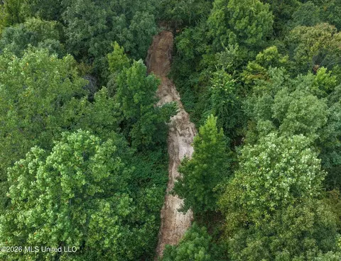 173 Cascilla Rd, Cascilla, MS 38920 photo 46