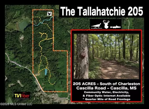 173 Cascilla Rd, Cascilla, MS 38920 photo 8