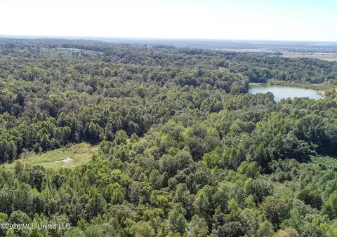 173 Cascilla Rd, Cascilla, MS 38920 photo 13