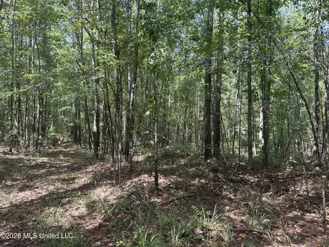 329 Big Man Rd, West, MS 39192 photo 12