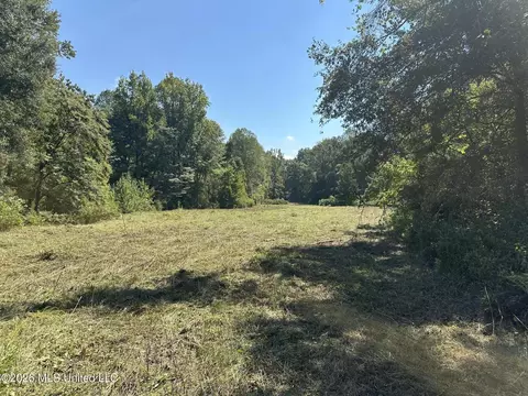 329 Big Man Rd, West, MS 39192 photo 7
