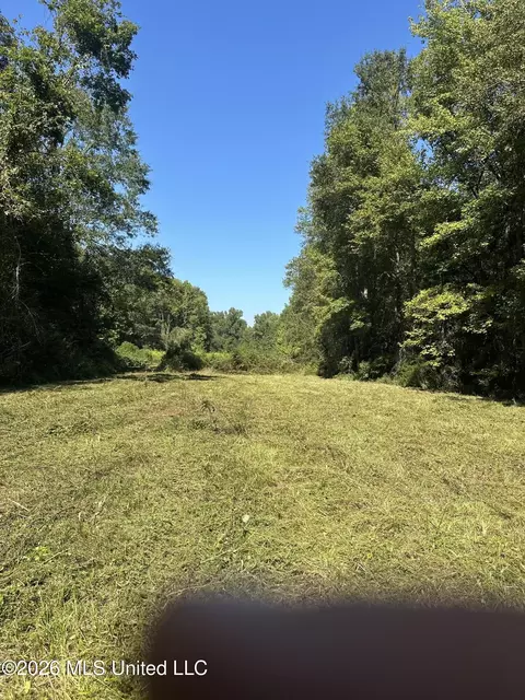 329 Big Man Rd, West, MS 39192 photo 10