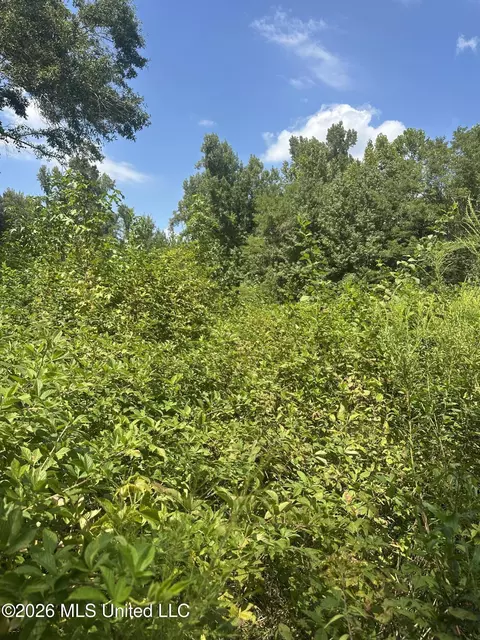 329 Big Man Rd, West, MS 39192 photo 16