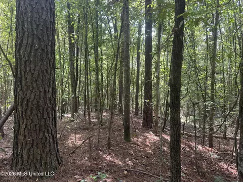 329 Big Man Rd, West, MS 39192 photo 11