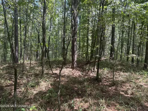 329 Big Man Rd, West, MS 39192 photo 13