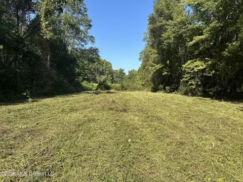 329 Big Man Rd, West, MS 39192 photo 9
