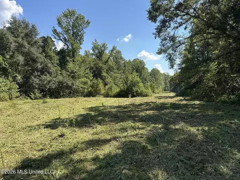 329 Big Man Rd, West, MS 39192 photo 5