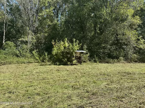 329 Big Man Rd, West, MS 39192 photo 8