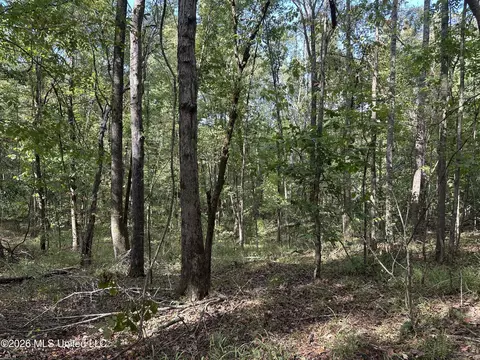 329 Big Man Rd, West, MS 39192 photo 4
