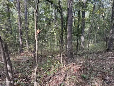 329 Big Man Rd, West, MS 39192 photo 2