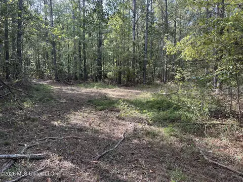 329 Big Man Rd, West, MS 39192 photo 3