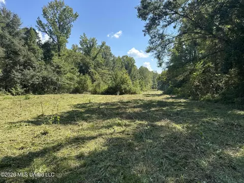 329 Big Man Rd, West, MS 39192 photo 6
