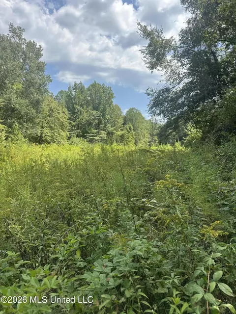 329 Big Man Rd, West, MS 39192 photo 15