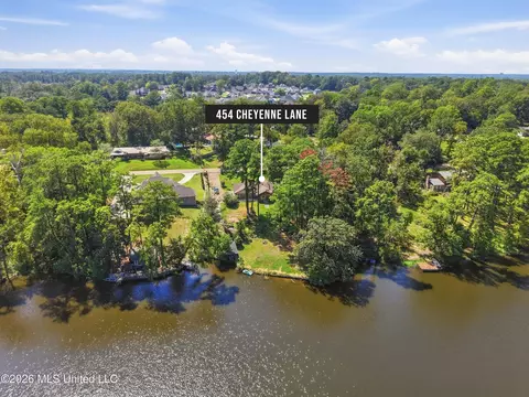 View/Area - 454 Cheyenne Ln, Madison, MS 39110 photo 4 of 6