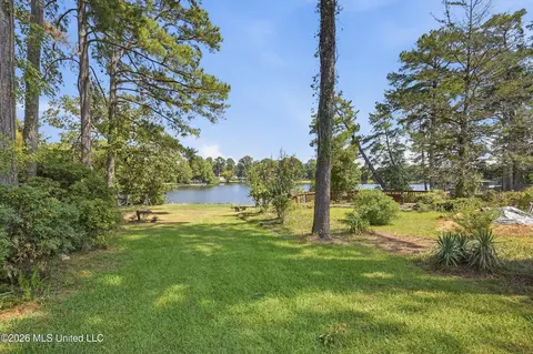 Exterior - 454 Cheyenne Ln, Madison, MS 39110 photo 8 of 13