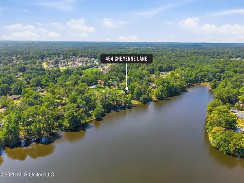 View/Area - 454 Cheyenne Ln, Madison, MS 39110 photo 3 of 6