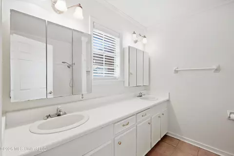 Bath - 454 Cheyenne Ln, Madison, MS 39110 photo 2 of 2