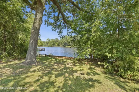 View/Area - 454 Cheyenne Ln, Madison, MS 39110 photo 6 of 6