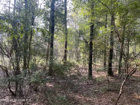 Grady Diamond Road, Perkinston, MS 39573 photo 3