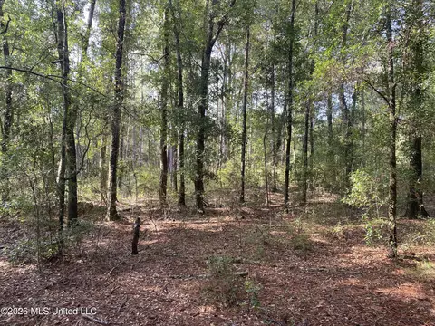 Grady Diamond Road, Perkinston, MS 39573 photo 4