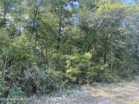 Grady Diamond Road, Perkinston, MS 39573 photo 2