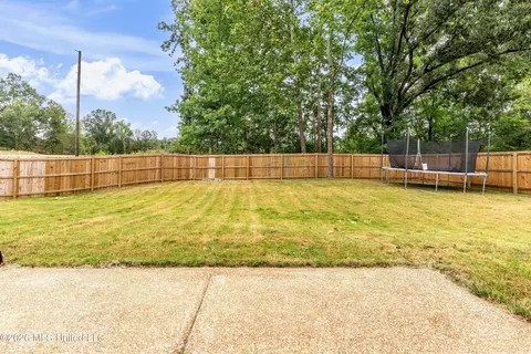 Other - 963 Buttermilk Dr, Nesbit, MS 38651 photo 5 of 6