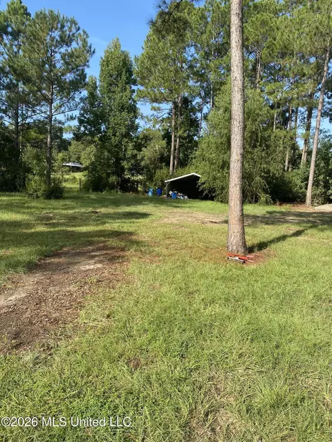 58 Grady Diamond Rd, Perkinston, MS 39573 photo 3