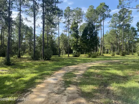 58 Grady Diamond Rd, Perkinston, MS 39573 photo 2
