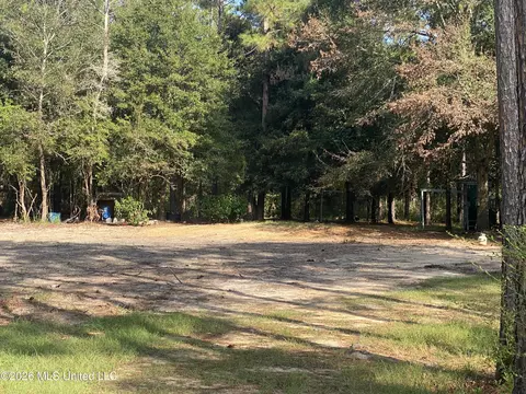 58 Grady Diamond Rd, Perkinston, MS 39573 photo 4