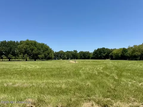 000001 Green Acres Dr, Canton, MS 39046 photo 32