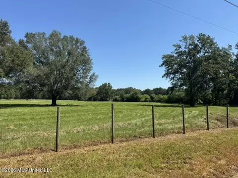 000001 Green Acres Dr, Canton, MS 39046 photo 25