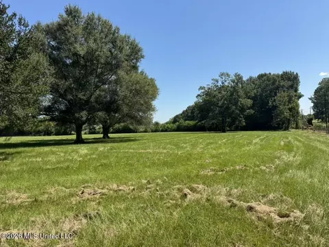 000001 Green Acres Dr, Canton, MS 39046 photo 28