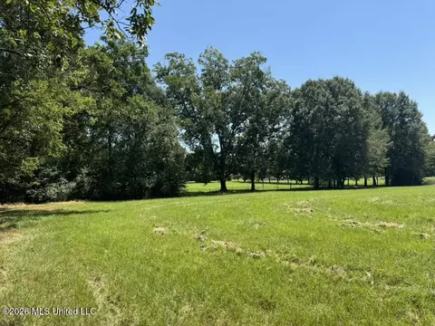 000001 Green Acres Dr, Canton, MS 39046 photo 22