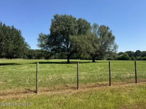 000001 Green Acres Dr, Canton, MS 39046 photo 3