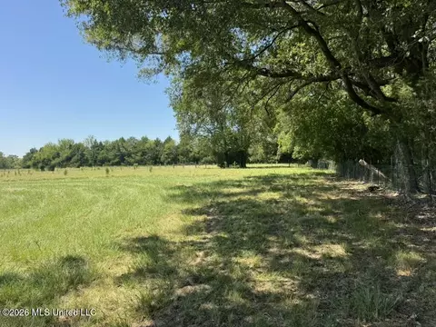 000001 Green Acres Dr, Canton, MS 39046 photo 24