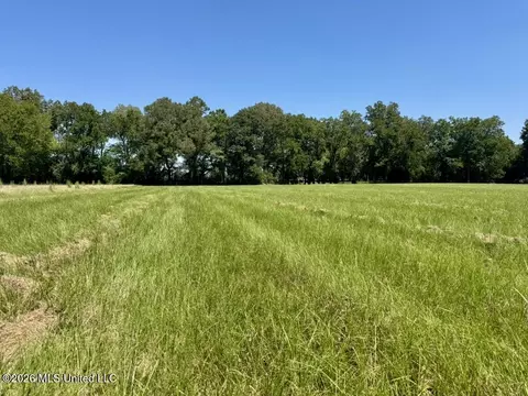 000001 Green Acres Dr, Canton, MS 39046 photo 12