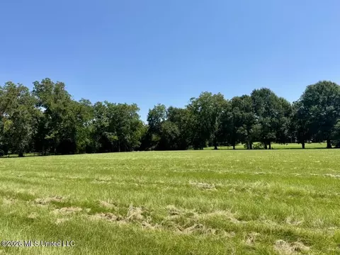 000001 Green Acres Dr, Canton, MS 39046 photo 17
