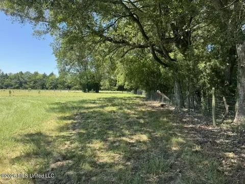 000001 Green Acres Dr, Canton, MS 39046 photo 20