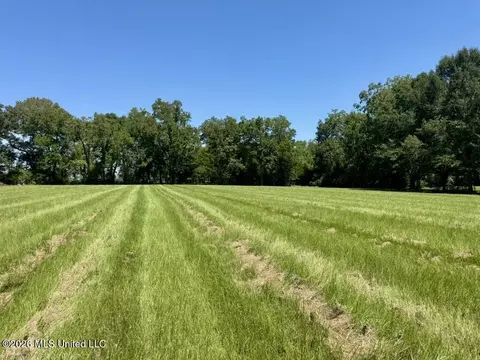 000001 Green Acres Dr, Canton, MS 39046 photo 14